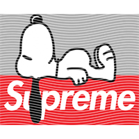 Brand Catalog-ZX 997